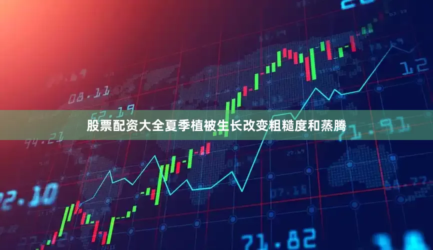 股票配资大全夏季植被生长改变粗糙度和蒸腾